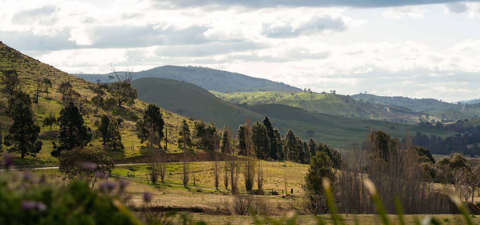 1100 Wallaroo Road WALLAROO, NSW 2618 is for Sale on Zango Zango