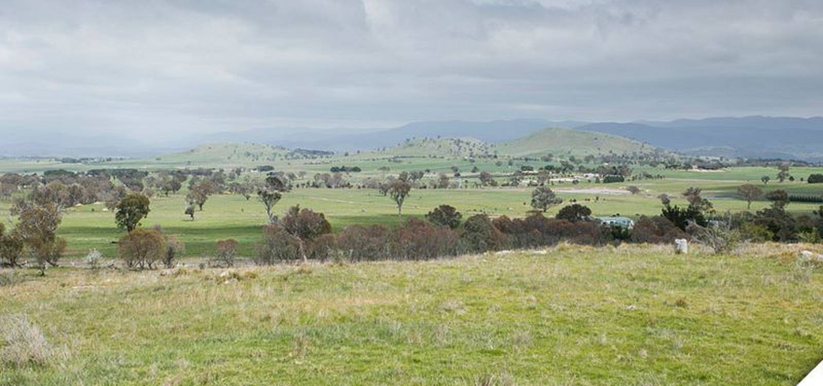 496 Wallaroo Road WALLAROO, NSW 2618 is for Sale on Zango Zango